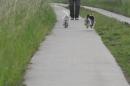 Biyok Hund